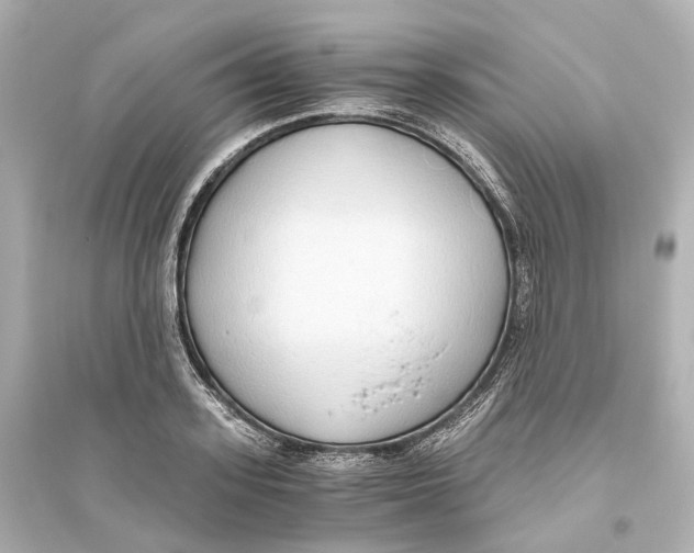 X0000093770939200711131208