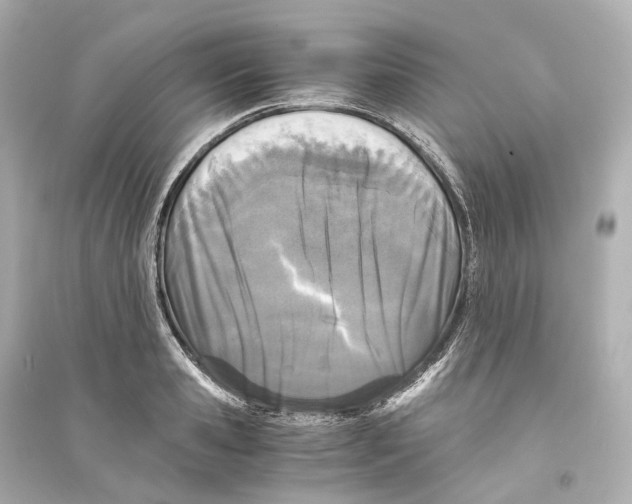 X0000093770941200711131208