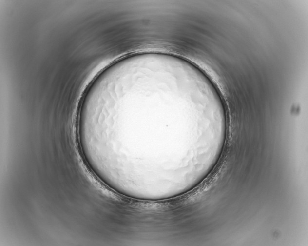 X0000093770949200711131208