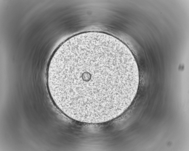 X0000093770950200711131208