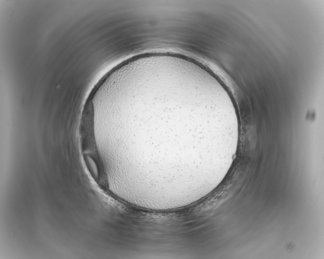 X0000093770951200711131208