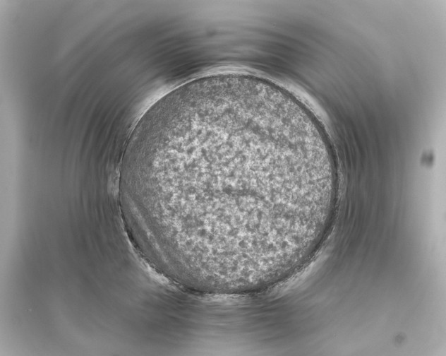 X0000093770953200711131208