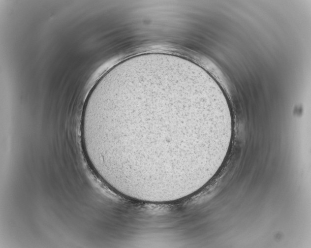 X0000093770954200711131208