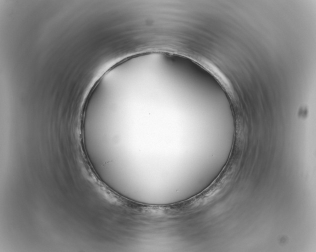 X0000093770956200711131208