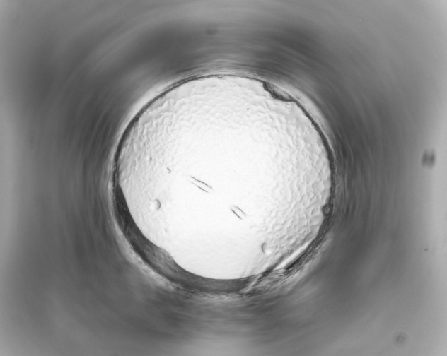 X0000093770957200711131208