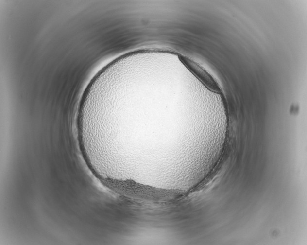 X0000093770959200711131208