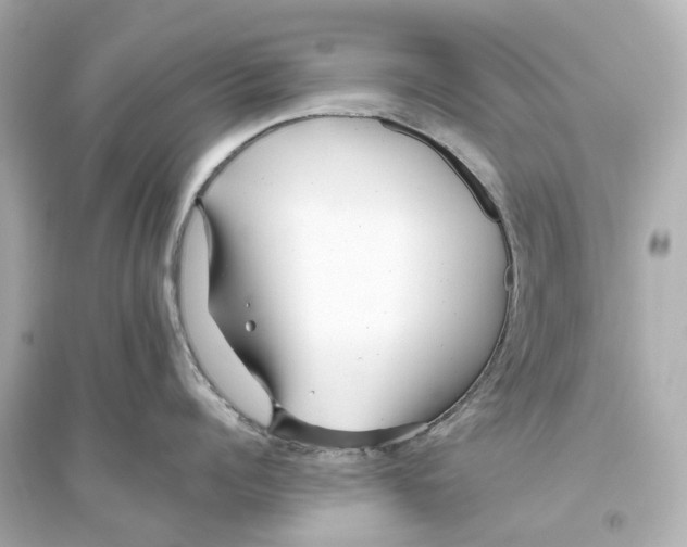 X0000093770960200711131208