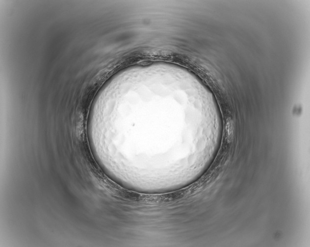 X0000093770963200711131208