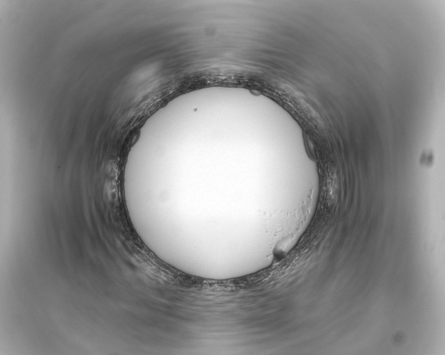 X0000093770964200711131208