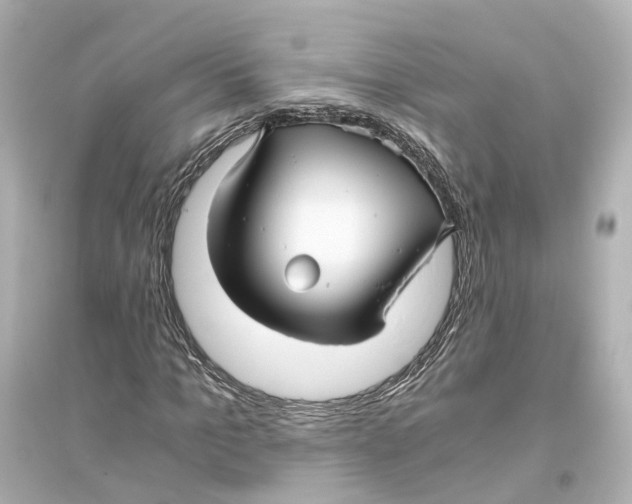 X0000093770965200711131208