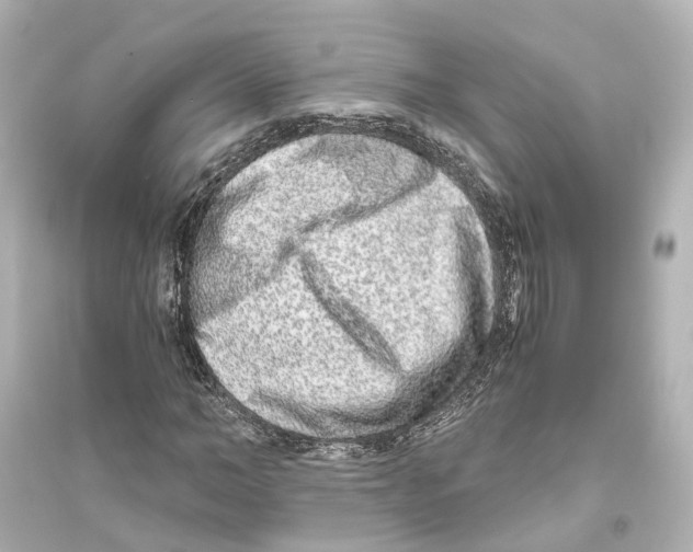 X0000093770966200711131208