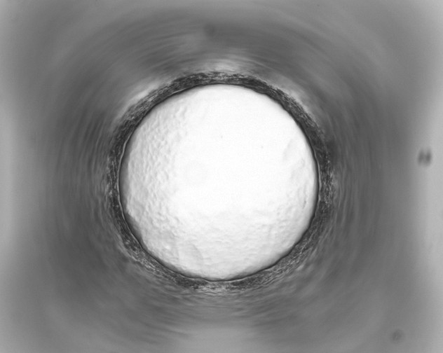 X0000093770967200711131208