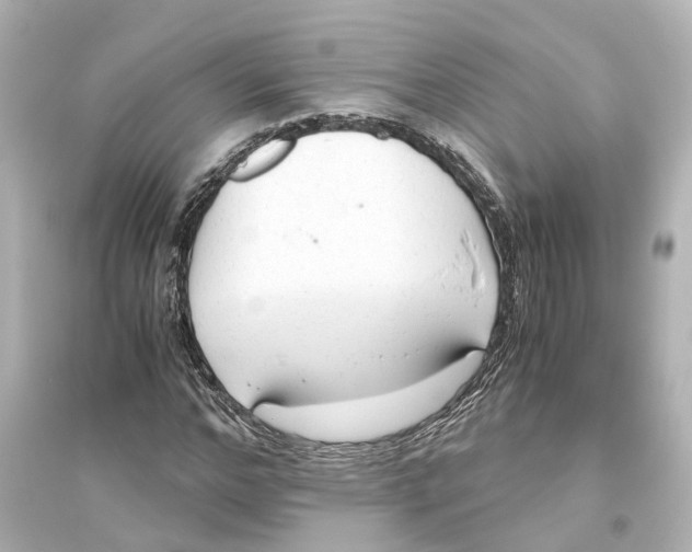 X0000093770968200711131208