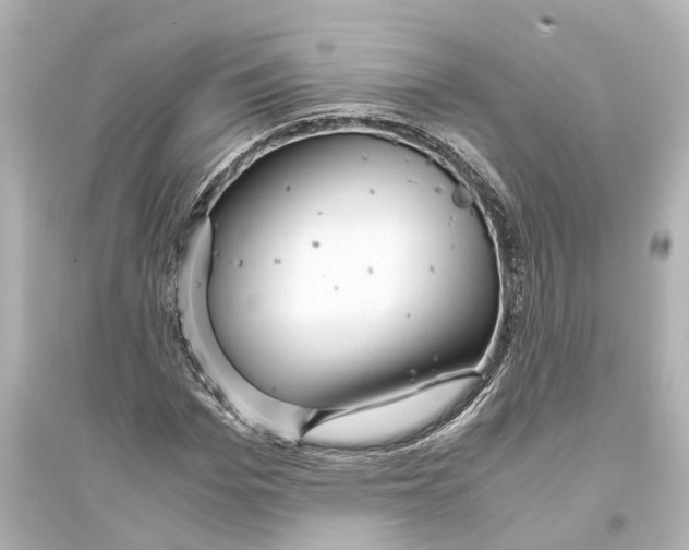 X0000093770969200711131208