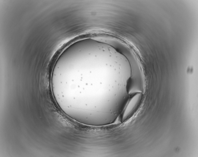 X0000093770973200711131208