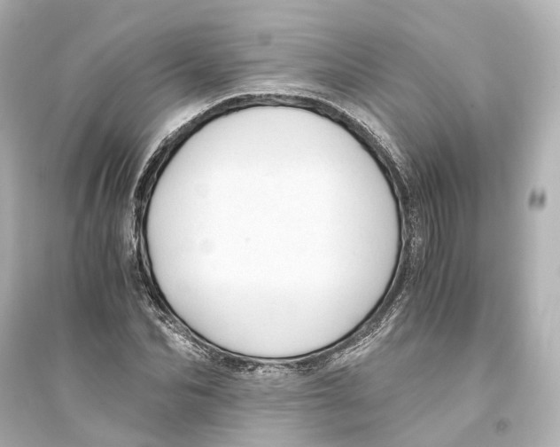 X0000093770974200711131208