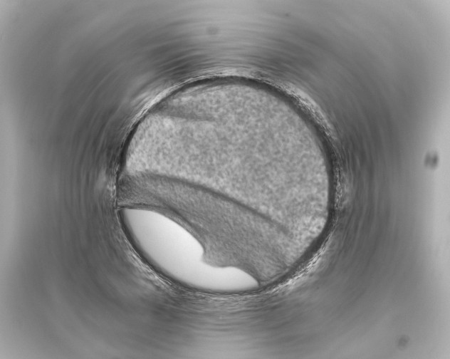 X0000093770977200711131208