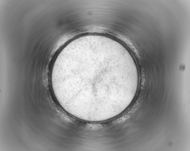 X0000093770978200711131208