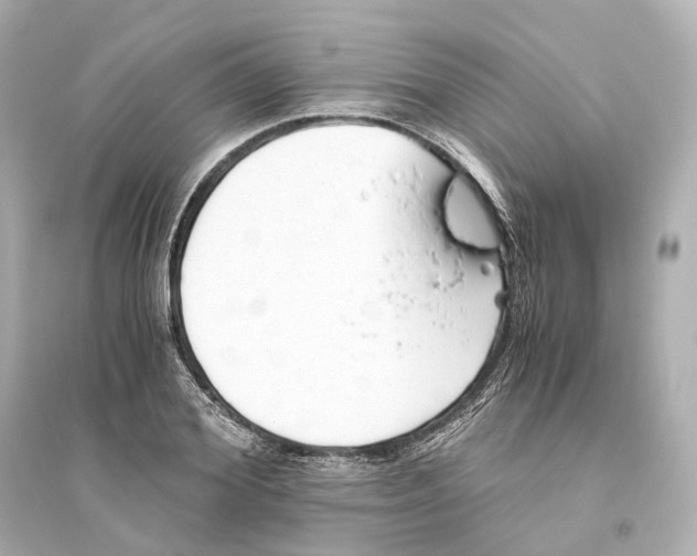 X0000093770980200711131208