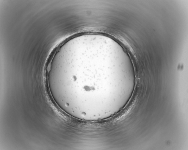 X0000093770981200711131208