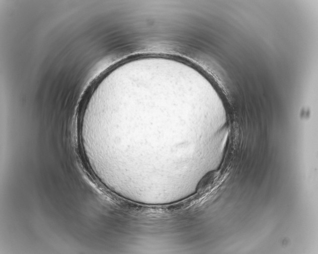 X0000093770982200711131208