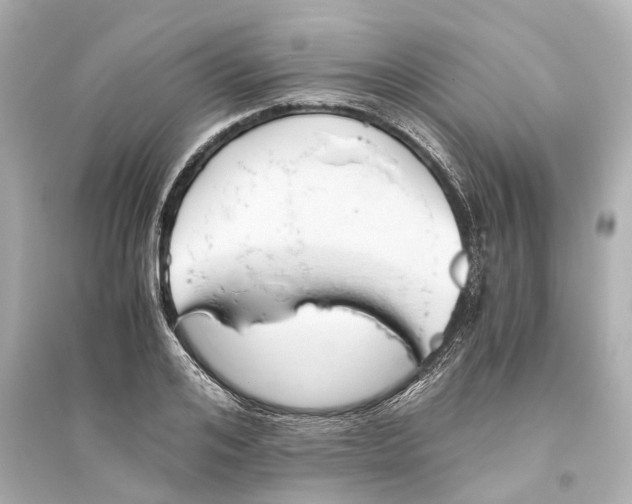 X0000093770984200711131207