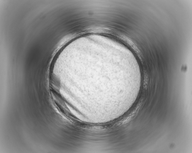 X0000093770986200711131207