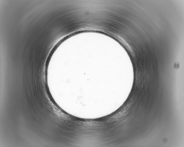 X0000093770988200711131207