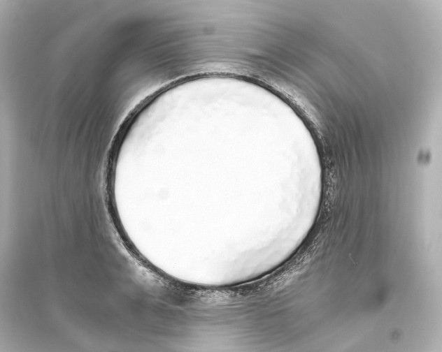 X0000093770991200711131207