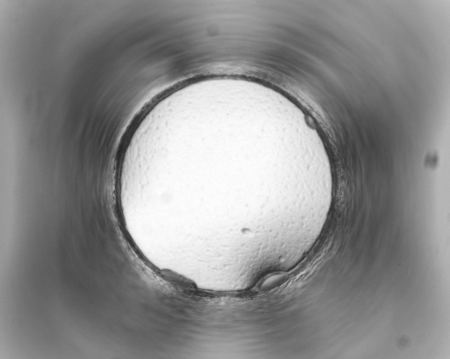 X0000093770992200711131207