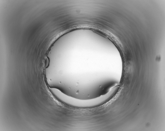 X0000093770993200711131207