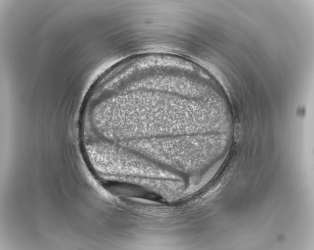 X0000093770995200711131207