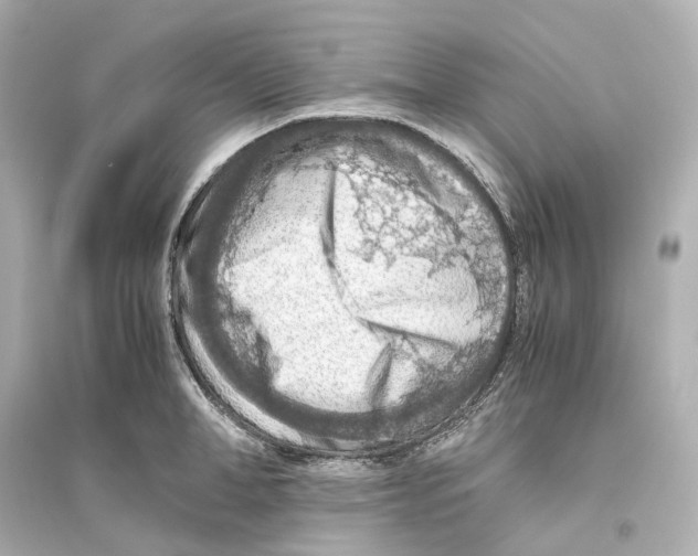 X0000093770998200711131207