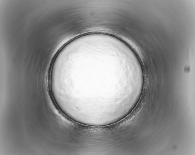 X0000093770999200711131207