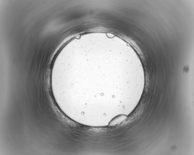 X0000093771000200711131207