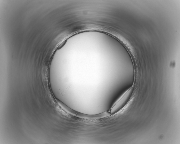 X0000093771001200711131207