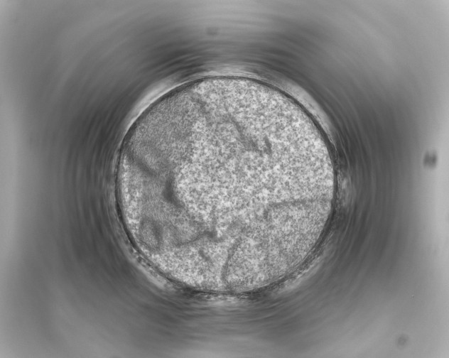 X0000093771002200711131207