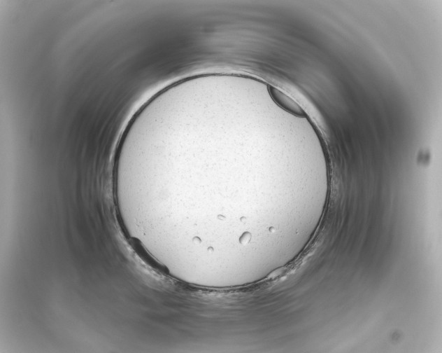 X0000093771004200711131207