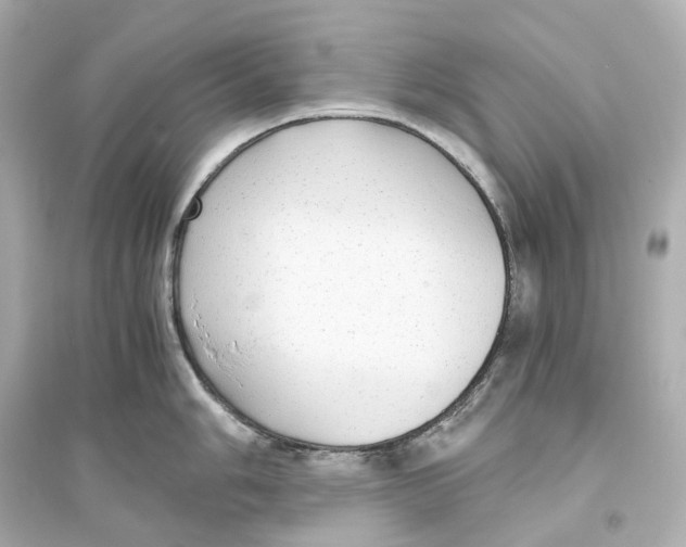 X0000093771006200711131207