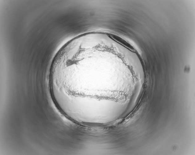 X0000093771007200711131207