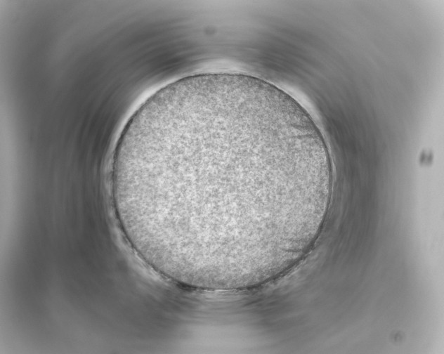 X0000093771008200711131207