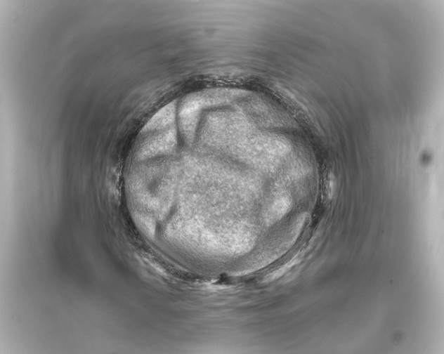 X0000093771010200711131206