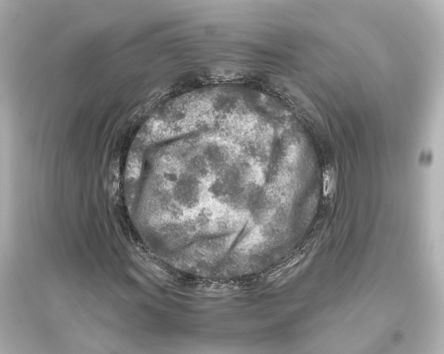 X0000093771011200711131206