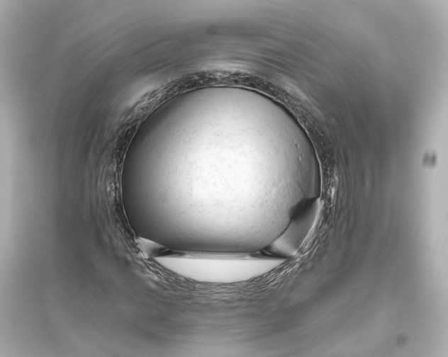 X0000093771014200711131206