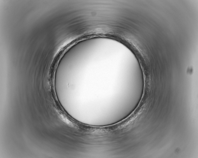 X0000093771018200711131206