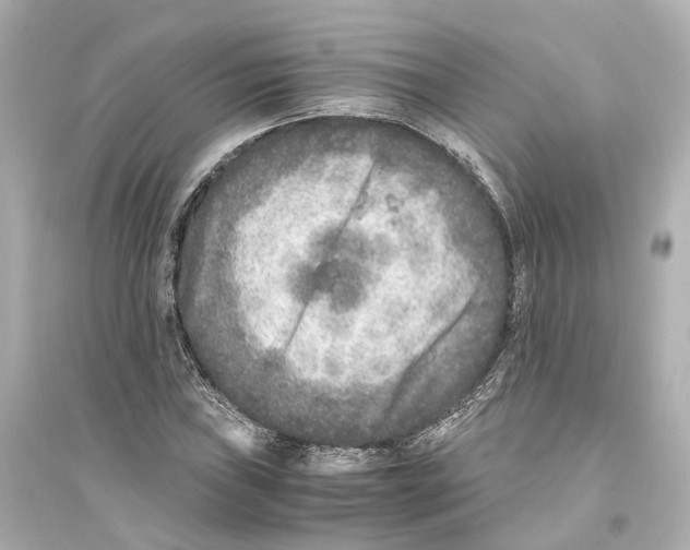 X0000093771019200711131206