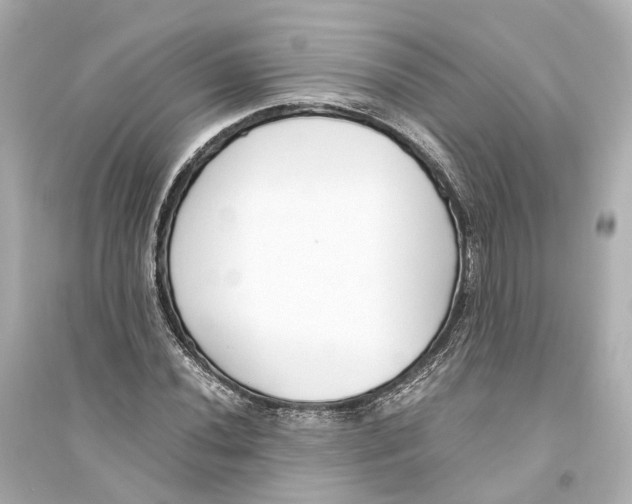 X0000093771020200711131206