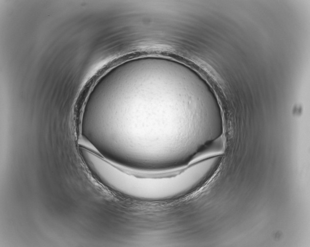 X0000093771022200711131206