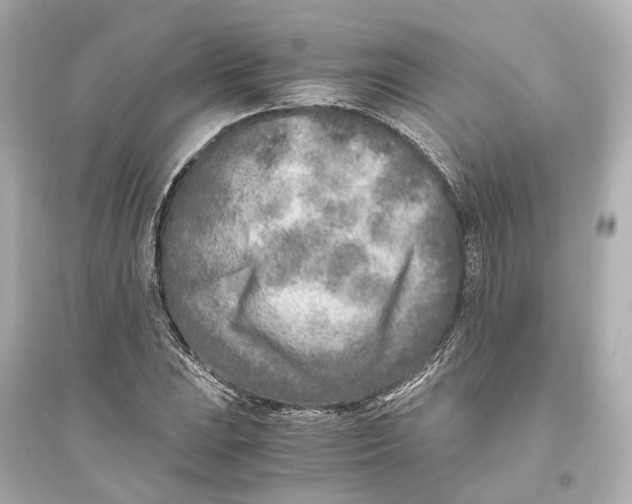 X0000093771023200711131207