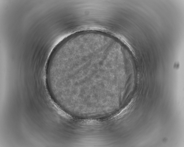 X0000093771024200711131207